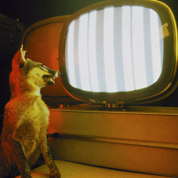 Fur cover art