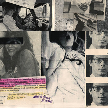 Honeyhead b/w New Feathers 7" cover art