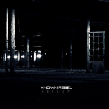 Hollow cover art