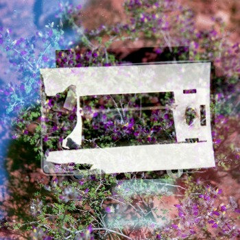 Ruminators cover art