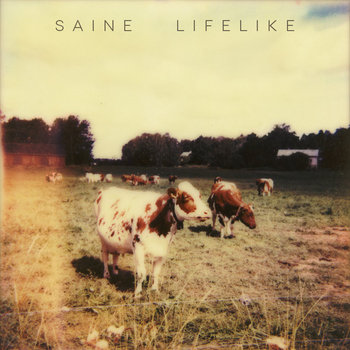 Lifelike cover art