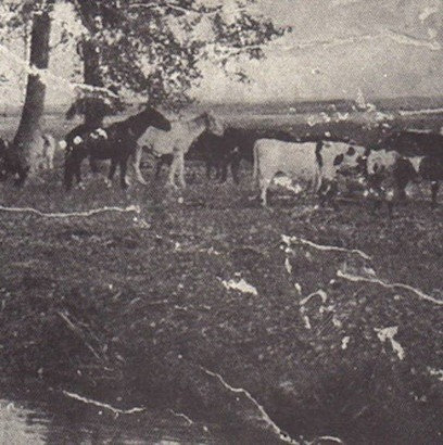 a0106994683_10.jpg