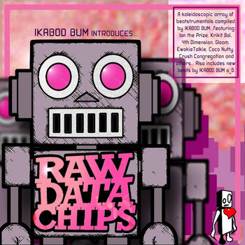 Raw Data Chips cover art