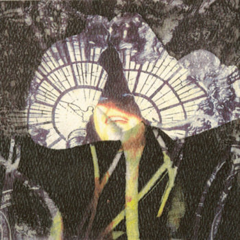 Our Thin Mercy Of Error cover art
