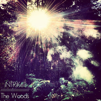 The Woods cover art