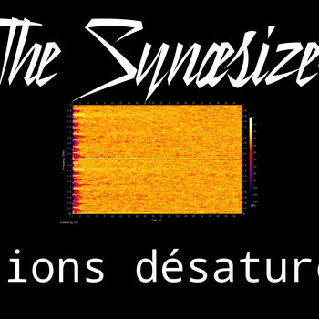 The Synaesizer - Visions Désaturées cover art