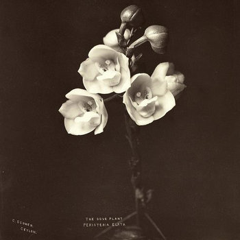 vol. I cover art
