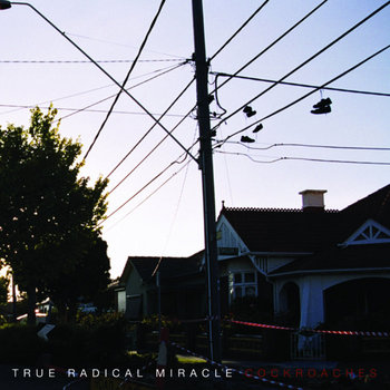 Cockroaches LP cover art