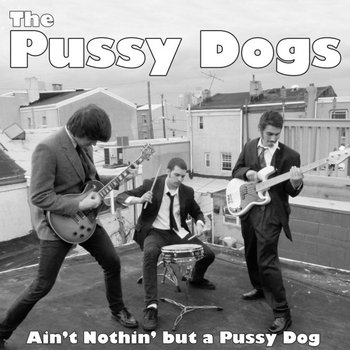 ain't nothin' but a pussy dog cover art