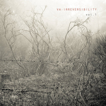 IRREVERSIBILITY vol.1 cover art