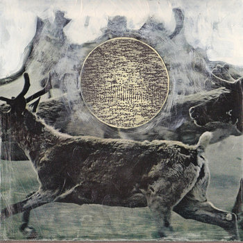 Neversummer cover art