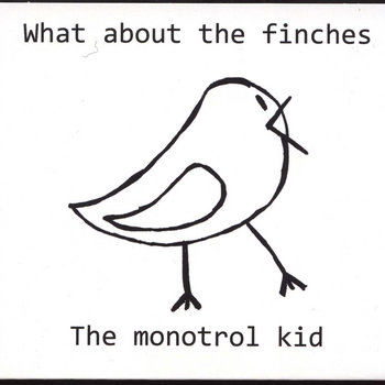 "What About The Finches" cover art