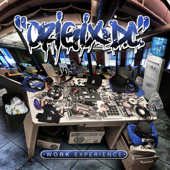 Work Experience cover art