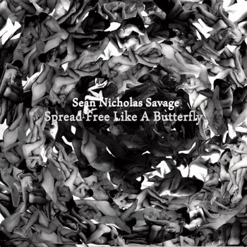 Spread Free Like A Butterfly cover art