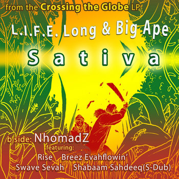 Sativa Digi-12 cover art