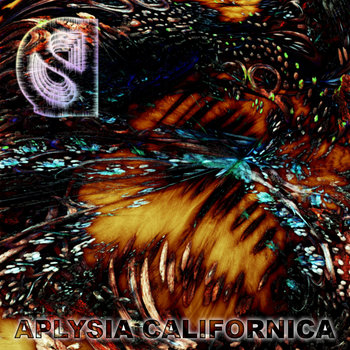 Aplysia Californica [reissue] cover art