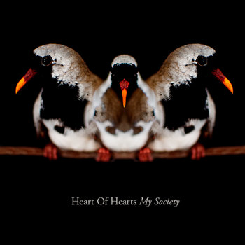 My Society cover art