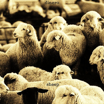 Sheep cover art
