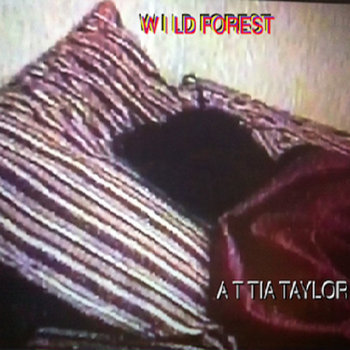 Wild Forest cover art