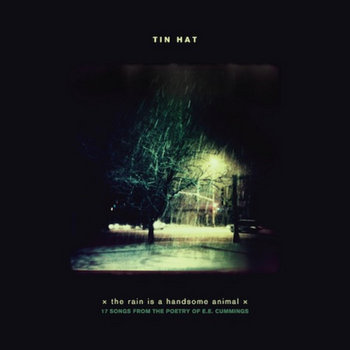 the rain is a handsome animal cover art