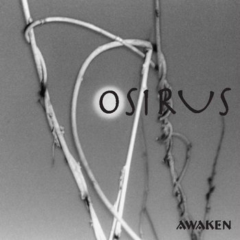 Awaken cover art