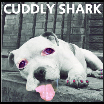 Cuddly Shark cover art