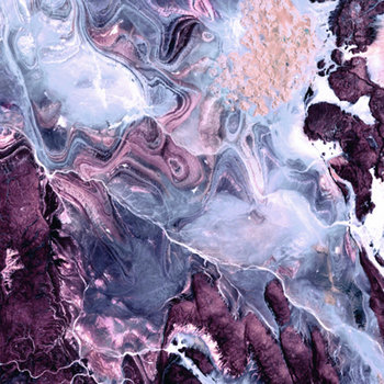 Planet Plant cover art