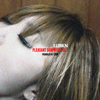 A Pleasant Surprise Vol. 1 cover art