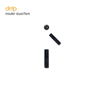 Insular Dwarfism cover art