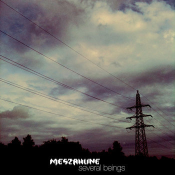 Several Beings cover art