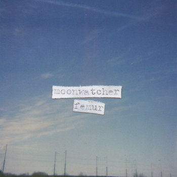 Femur cover art