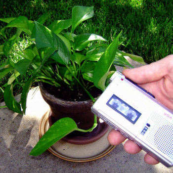 The Meaning of Life on Microcassette cover art