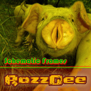 Schematic Frames cover art