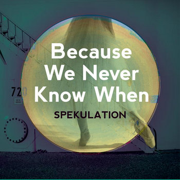 Because We Never Know When cover art