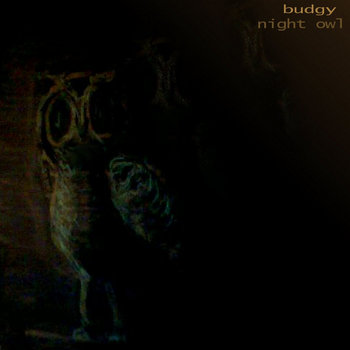 Night Owl cover art