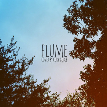 Flume (Cover) cover art