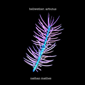 Bellwether. Arbutus cover art