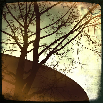 Haiku cover art