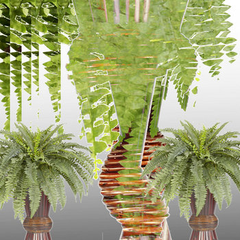 POTTED FERN cover art