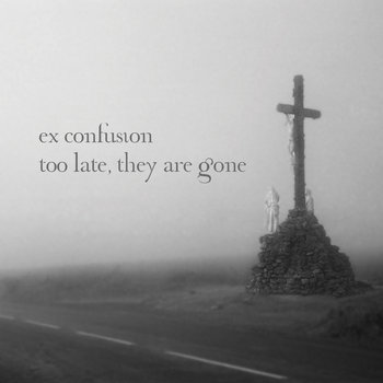 Too Late, They Are Gone cover art