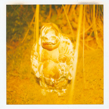 The Sun Scorched the Yellow Grass cover art