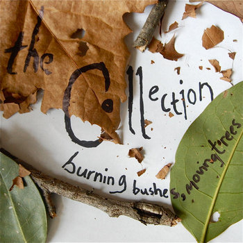 burning bushes, moving trees cover art