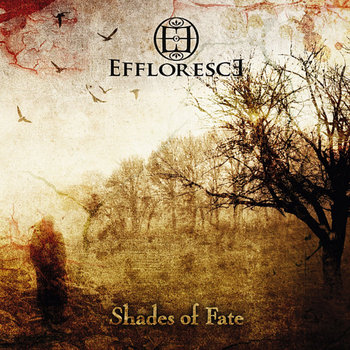 Shades of Fate cover art