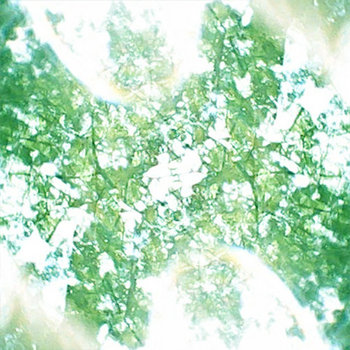 Through The Tangles cover art