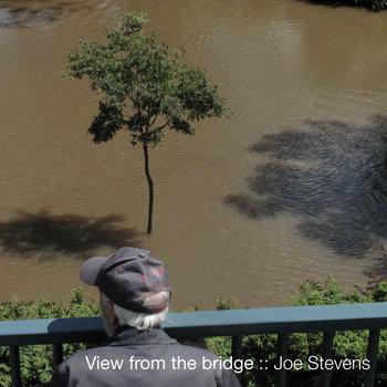 View from the bridge cover art