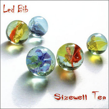 Four Panel CD Digipak
