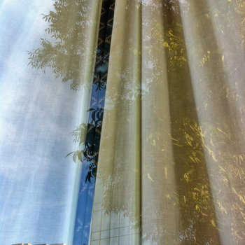 analogy of the divided line cover art