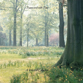 A Voice of Calmness cover art