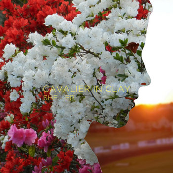 She cover art