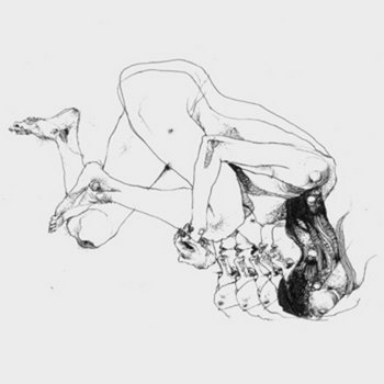 Mirror cover art